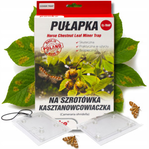 Panko pułapki lepowe na owocówke szrotówka kasztanowcowiaczka feromon 2szt