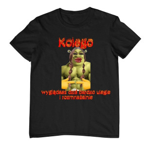 Koszulka vintage prezent dla kolegi - kolego wyglądasz dzisiaj bardzo ulegle - shrek XXL Czarny