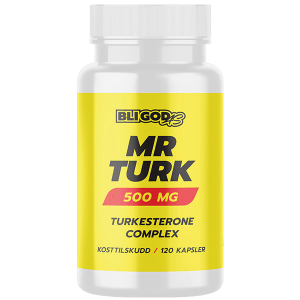 Bli God AS Turkesteron - Ajuga Turkestanica Ekstrakt -500 Mg Standardisert 10% – 120 Vegkapsler