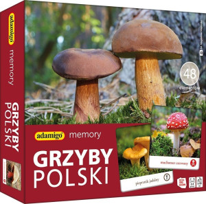 Memory. Grzyby Polski. Adamigo.