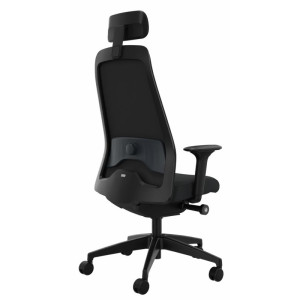 interstuhl EVERYis1 F-16 (EV032) Chefsessel Aktionsmodell mit Chillback Wohlfühlpolsterung (Rückenlehne), FLEXTECH 3D Sitzgelenk, Armlehnen (3-fach verstellbar), ergonomischer Komfortsitz, ho