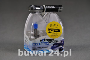 ŻARÓWKA /6319/ EXTREME 12V 100W H1 WHITE