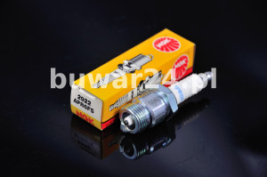 APR6FS SWIECA ISKROWA