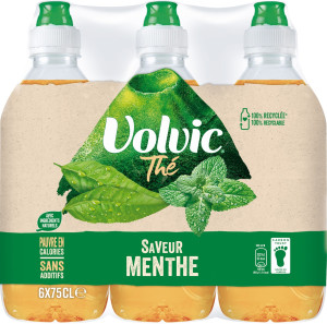 Volvic Tee Minze Erfrischungsgetraenk 500ml