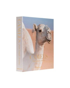 Assouline Camels From Saudi Arabia