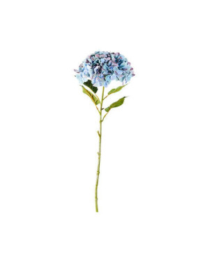 Newport Hortensia snittblomma blå