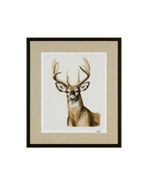 Newport Handsome Whitetail I