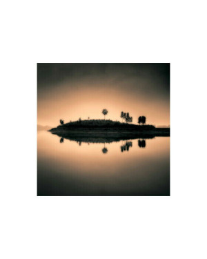 Cobra Sunset Island