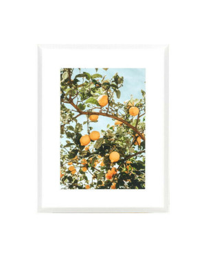 Newport Lemons