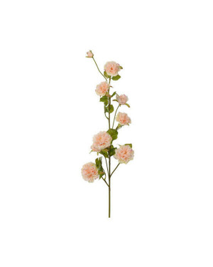 Newport Klätterros snittblomma persika