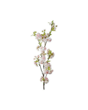 Newport Körsbär snittblomma rosa