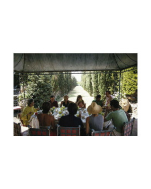 Slim Aarons Lunch With Lili