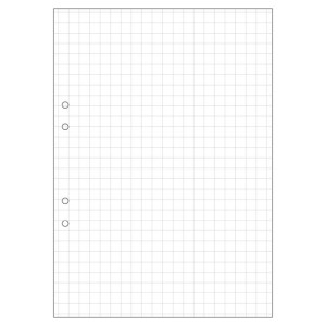 NO BRAND Lösblad A4, vitt 70g hålat papper, rutat 10x10mm 500/fp