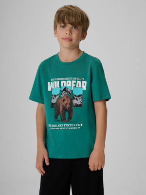 4F T-shirt regular z nadrukiem chłopięcy - turkusowy