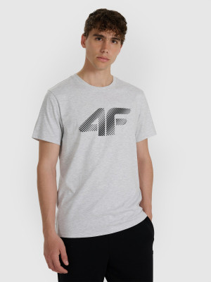 4F T-shirt regular z nadrukiem męski - szary