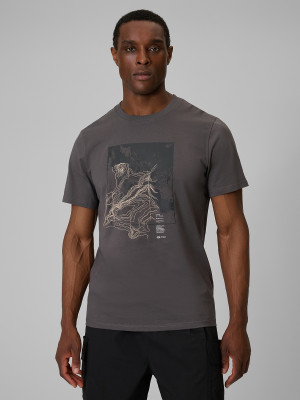 4F T-shirt regular z nadrukiem męski - szary