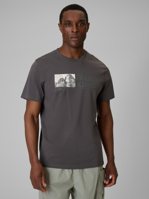4F T-shirt regular z nadrukiem męski - szary