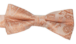 Slipskungen Barnfluga Paisley Aprikos