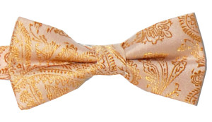 Slipskungen Barnfluga Paisley Guld