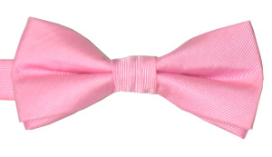 Slipskungen Barnfluga Rosa