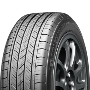 Michelin Primacy All Season 235/55 R19 105H XL Sommerreifen