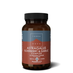 TERRANOVA ASTRAGALUS, HYLDEBÆR, HVIDLØG 50 stk