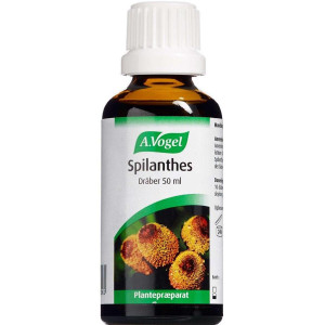 A. Vogel Spilanthes 50 ml