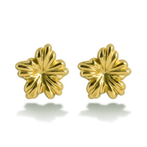 Emily Westwood - Boucles d'oreilles en Acier Amandine dorées OS