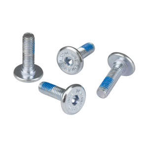 Chaya DCM Mounting Screw 19mm/M6 (4 szt.)