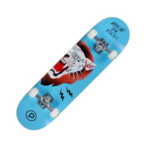 Playlife Lion