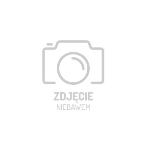 Rollerblade Lightning Liner (PSI + Fooboard Sizer) - 38-38,5