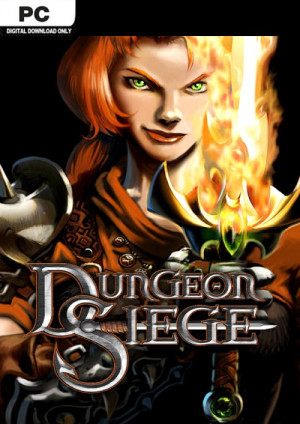 Dungeon Siege PC