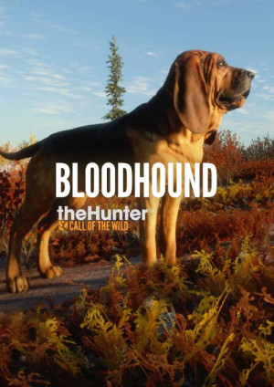 theHunter: Call of the Wild - Bloodhound PC - DLC