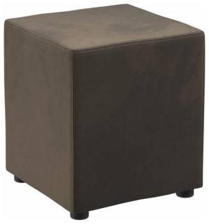 Indoor Hocker Cori