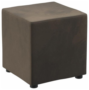 Indoor Hocker Corina