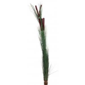 Europalms Reed grass with cattails,dark-green, artificial, 152cm mørkegrøn grøn