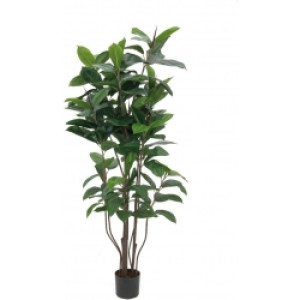 Europalms Rubber Tree, artificial plant, 150cm TILBUD NU gummitræ gummi træ