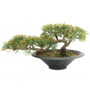 Europalms Pencil Cedar, artificial plant, 40cm TILBUD NU blyant ceder