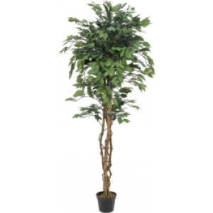 Europalms Ficus Tree Multi Trunk, artificial plant, 180cm TILBUD NU