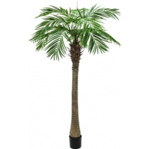 Europalms Phoenix Palm Tree Luxor, artificial plant, 150cm håndflade palme træ