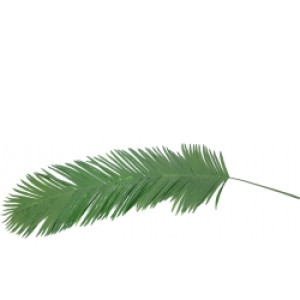 Europalms Coconut King Palm Branch, artificial, 180cm TILBUD NU
