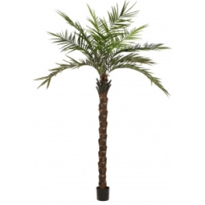 Europalms Kentia palm tree deluxe, artificial plant, 300cm TILBUD NU