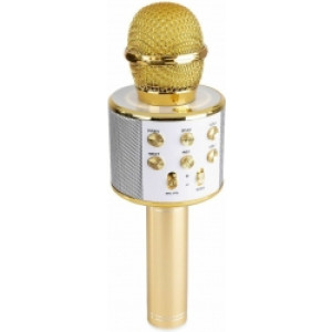 Karaoke Mikrofon til børn med indbygget højttaler, MP3 og Bluetooth - Guld