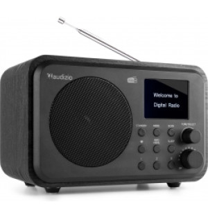 DAB Radio 'Luxus- og Transportabel Radio' DAB/DAB+/FM/Bluetooth modtager og højt