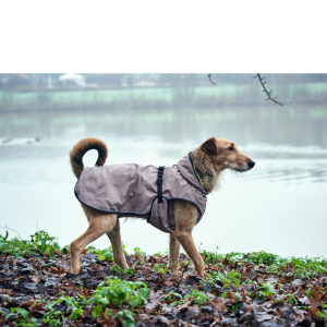 Hunter Cappottino per Cani Uppsala Beige 60 cm