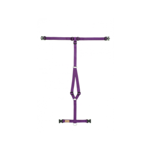 Haqihana Pettorina ad H Viola in Nylon per Cani XS