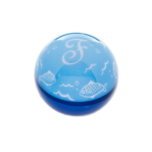 Ferribiella Gioco Pallina Acqua Light Luminosa per Gatti