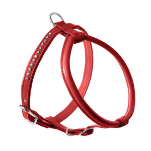 Hunter Pettorina Modern Art R&S Petit Luxus Rosso per Cani 50 cm