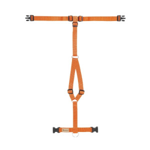 Haqihana Pettorina ad H Carrot in Nylon per Cani XXSL (torace 33-45cm)