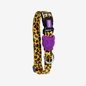Zee.Dog Collare Regolabile per Cani Honey L 45-70x2,5cm